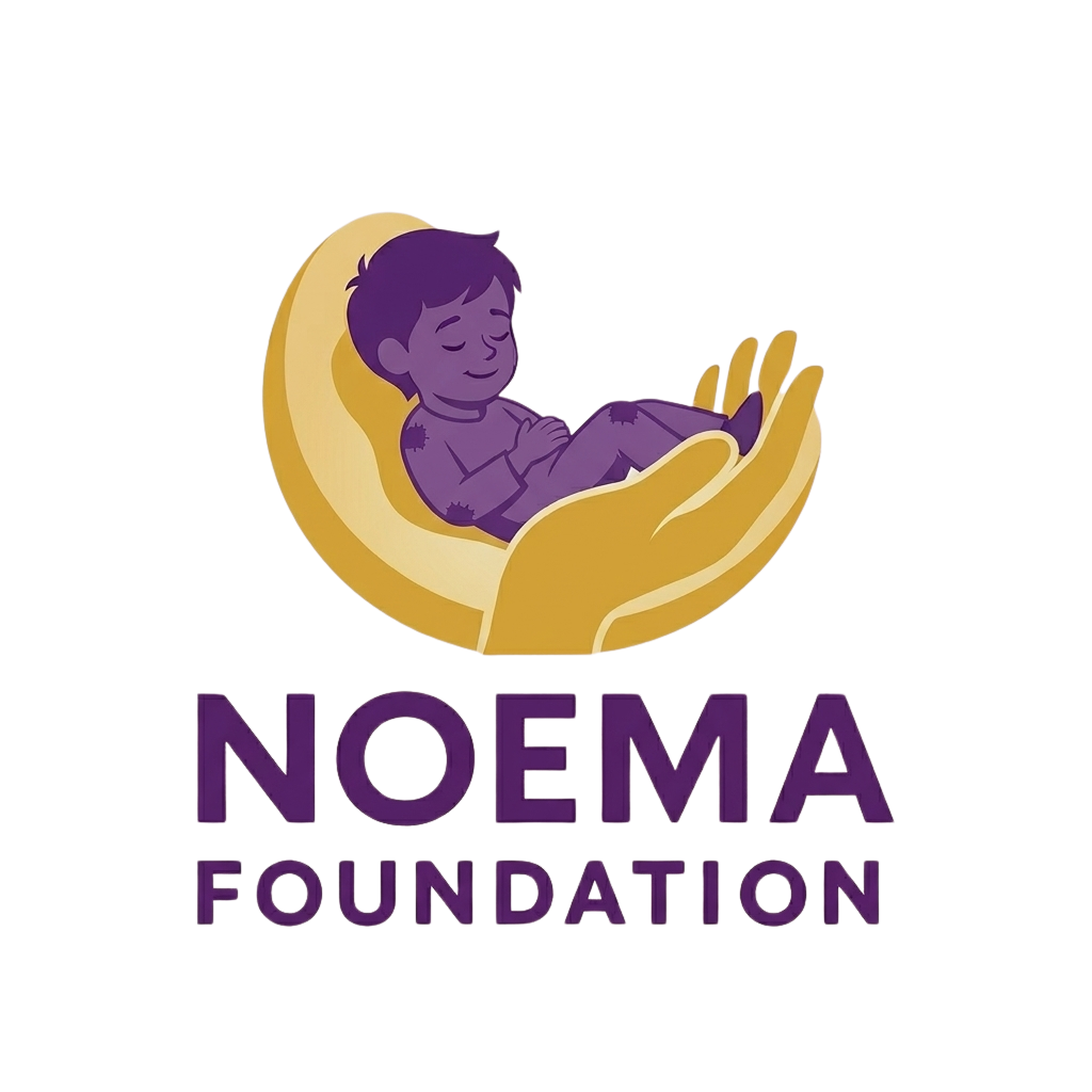 The Noema Foundation logo